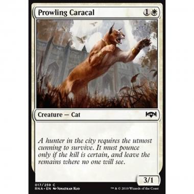 Prowling Caracal - Lince in Agguato - [RNA] [NM]