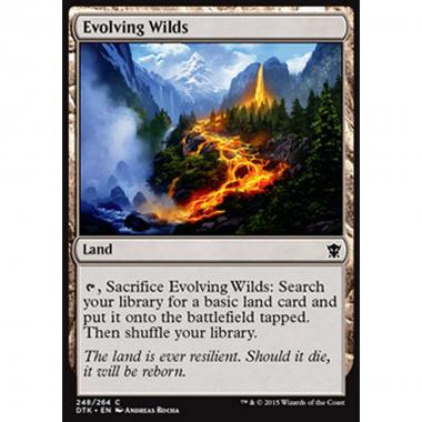 Evolving Wilds - Terre Selvagge in Evoluzione - [DTK] [NM]