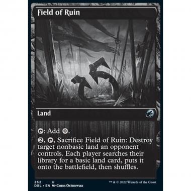 Field of Ruin - Field of Ruin - [DBL] [NM]