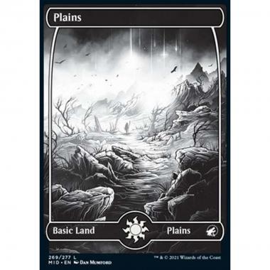 Plains (V.2) - Pianura (V.2) - [MID] [NM] [Foil]
