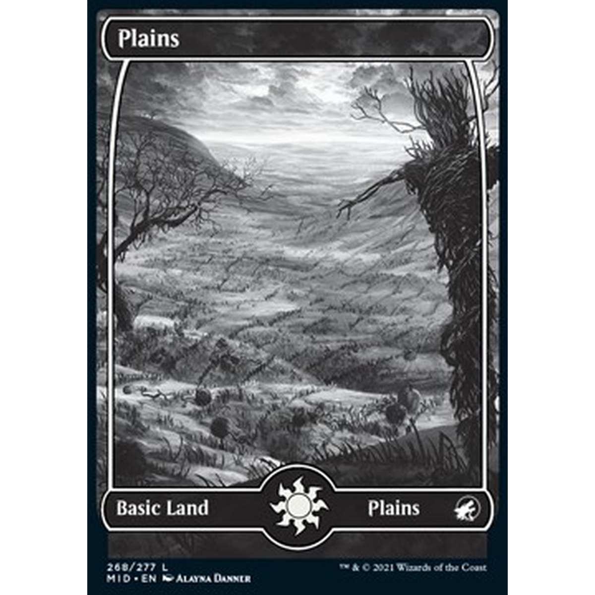 Plains (V.1) - Pianura (V.1) - [MID] [NM] [Foil]