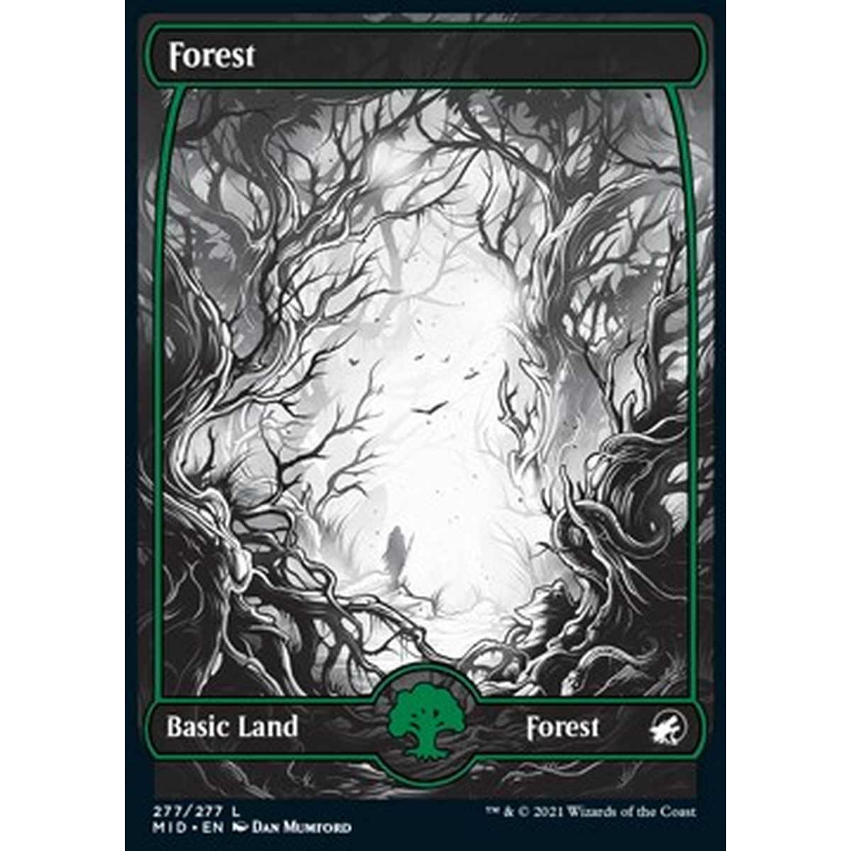 Forest (V.2) - Foresta (V.2) - [MID] [NM] [Foil]
