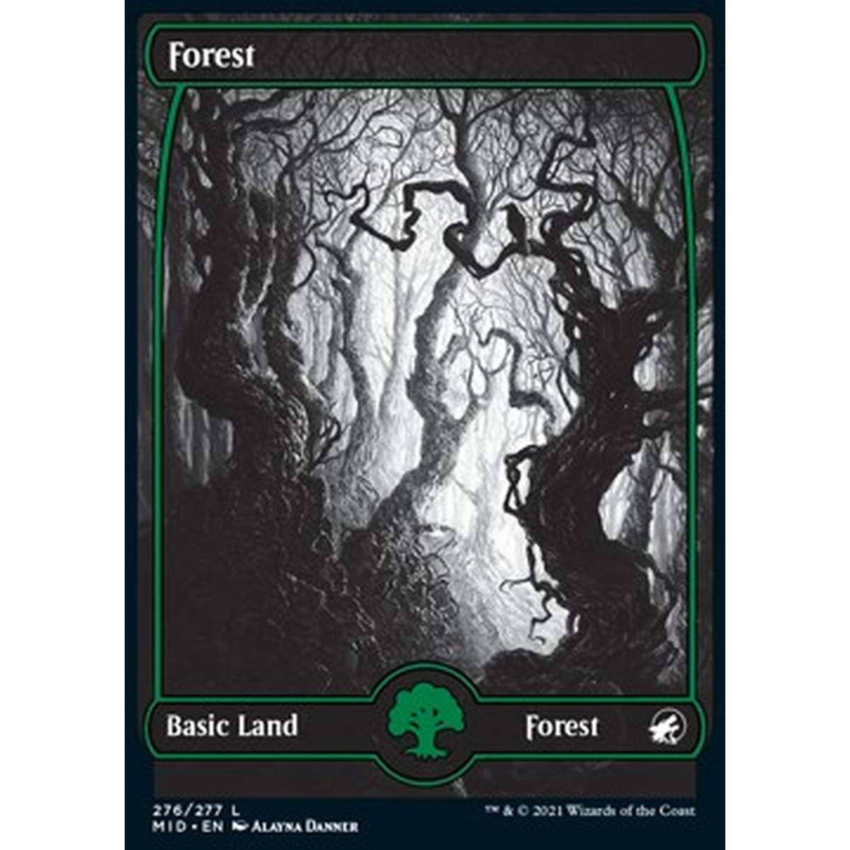 Forest (V.1) - Foresta (V.1) - [MID] [NM] [Foil]