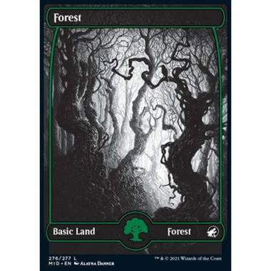 Forest (V.1) - Foresta (V.1) - [MID] [NM] [Foil]