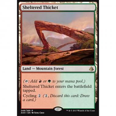 Sheltered Thicket - Boschetto Riparato - [AKH] [NM]