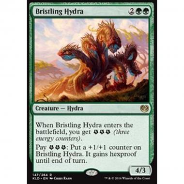 Bristling Hydra - Idra Irsuta - [KLD] [NM]