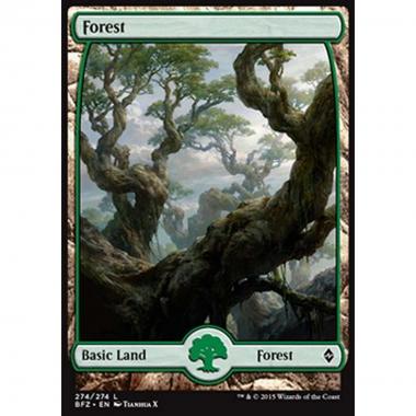 Forest (V.9) - Foresta (V.9) - [BFZ] [NM] [Foil]