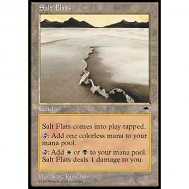 Salt Flats - Salt Flats - [TP] [GD]