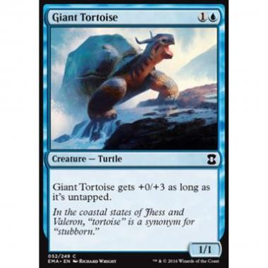 Giant Tortoise - Giant Tortoise - [EMA] [NM]