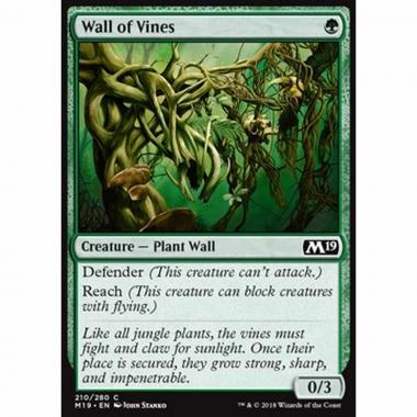 Wall of Vines - Muro di Liane - [M19] [NM]