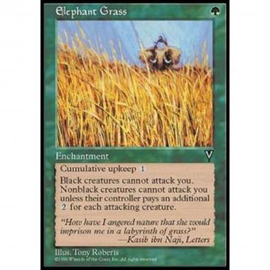 Elephant Grass - Elephant Grass - [VIS] [EX]