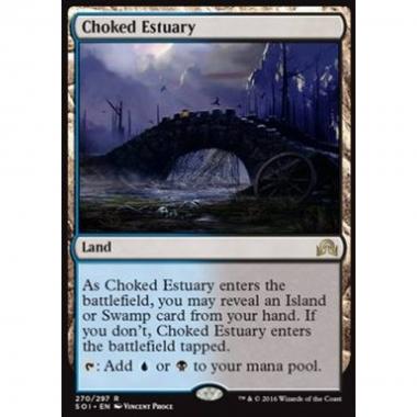 Choked Estuary - Estuario Soffocato - [SOI] [NM]