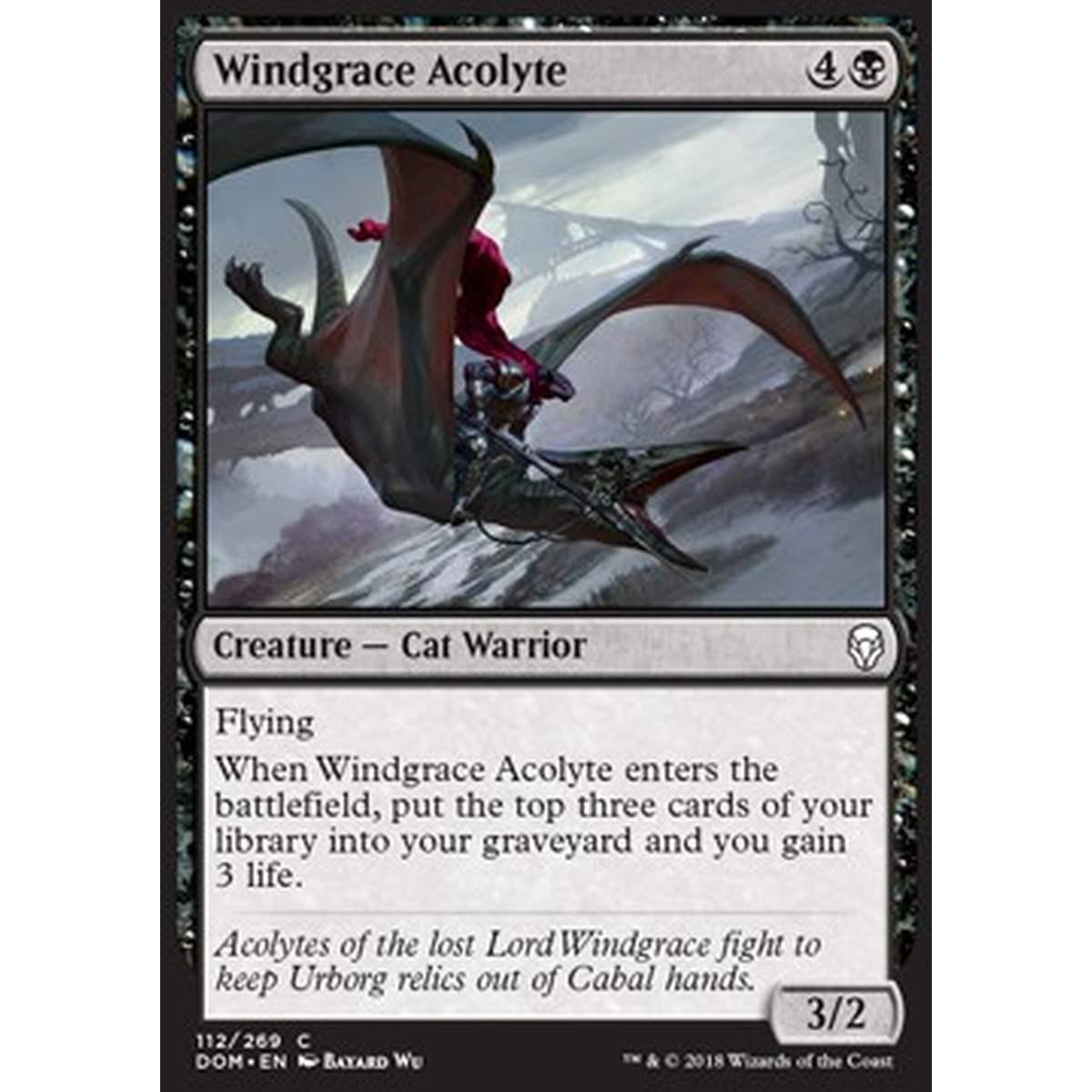 Windgrace Acolyte - Accolito di Windgrace - [DOM] [NM]