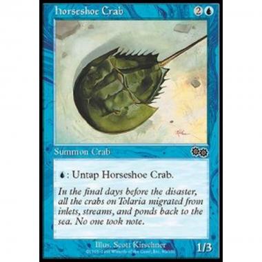 Horseshoe Crab - Granchio Ferro di Cavallo - [USG] [EX]