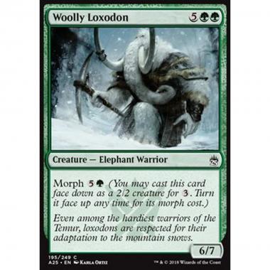 Woolly Loxodon - Woolly Loxodon - [A25] [NM]