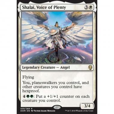 Shalai, Voice of Plenty - Shalai, Voice of Plenty - [DOM] [EX]