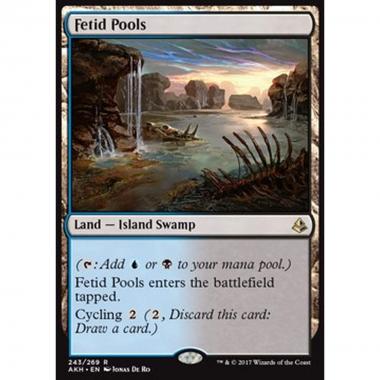 Fetid Pools - Fetid Pools - [AKH] [NM]