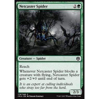 Netcaster Spider - Netcaster Spider - [IMA] [NM]