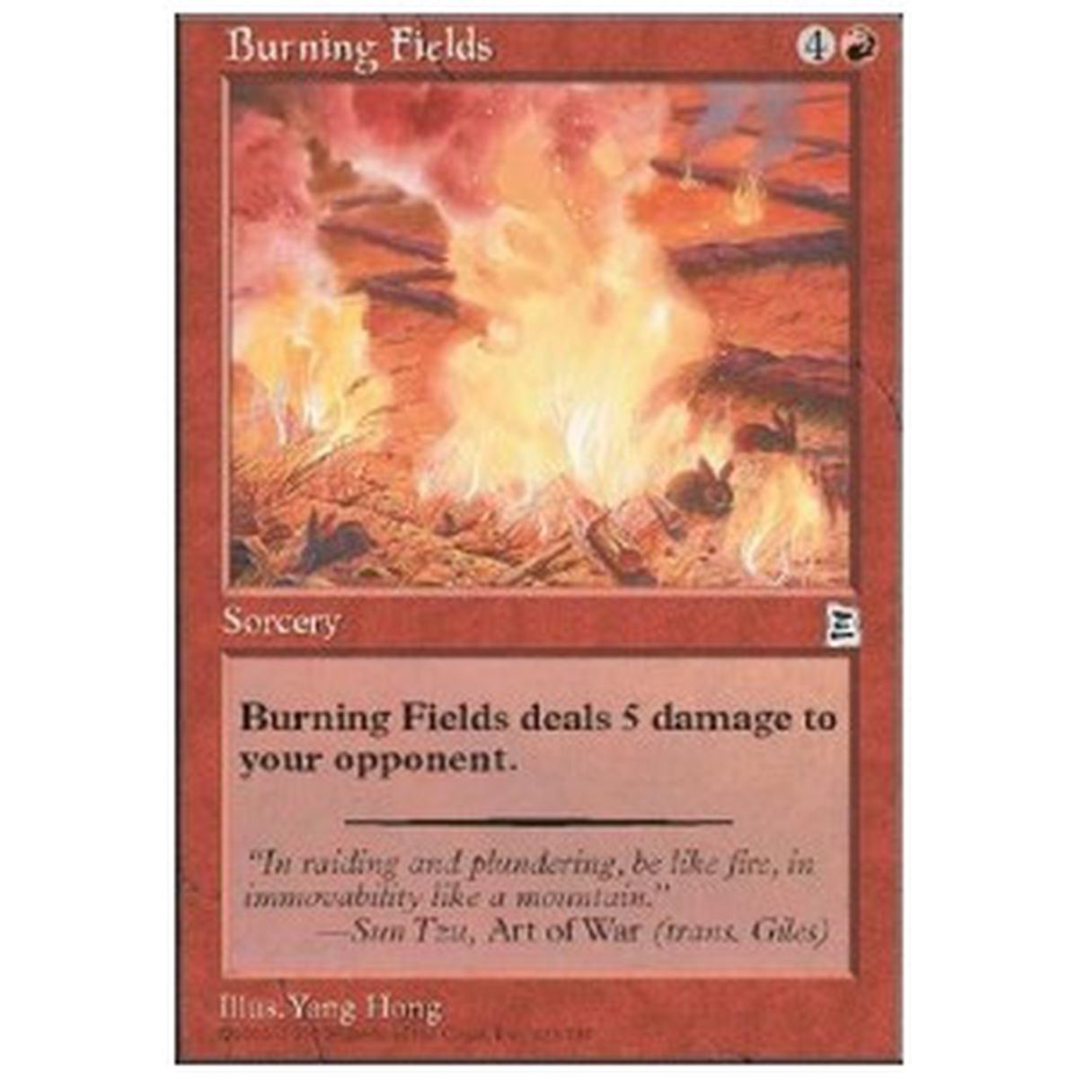 Burning Fields - Burning Fields - [PTK] [NM]