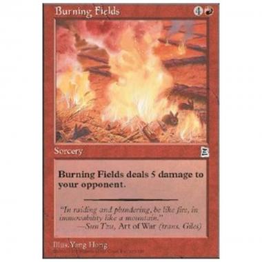 Burning Fields - Burning Fields - [PTK] [NM]