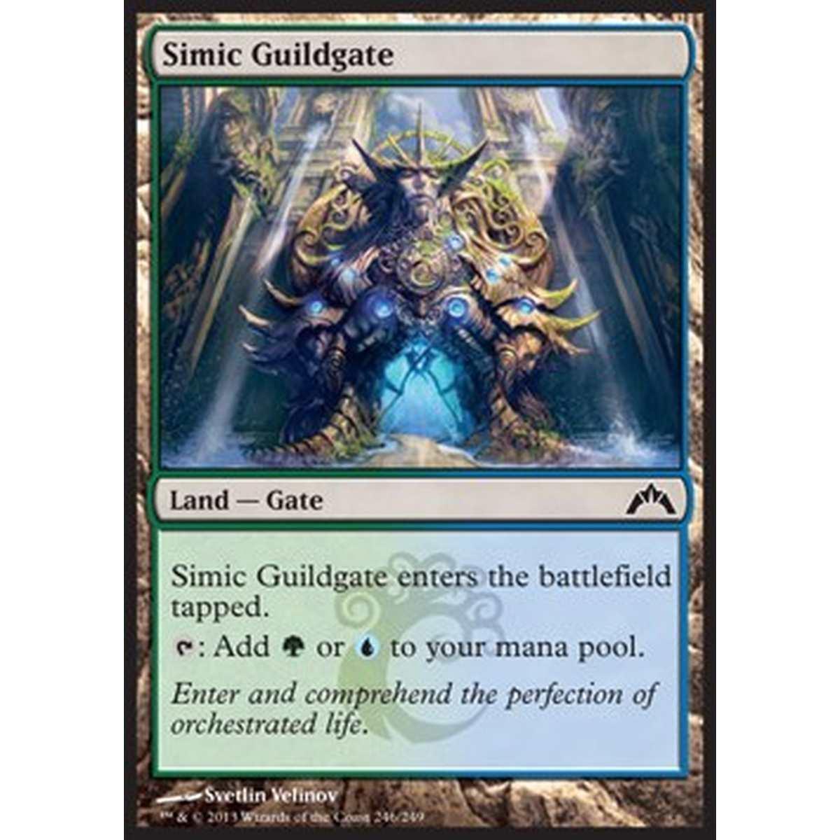 Simic Guildgate - Cancello della Gilda Simic - [GTC] [NM]