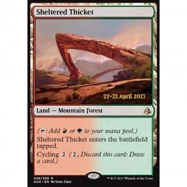 Sheltered Thicket - Boschetto Riparato - [PAKH] [NM] [Foil]