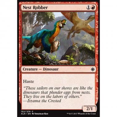 Nest Robber - Ladro dei Nidi - [XLN] [NM]