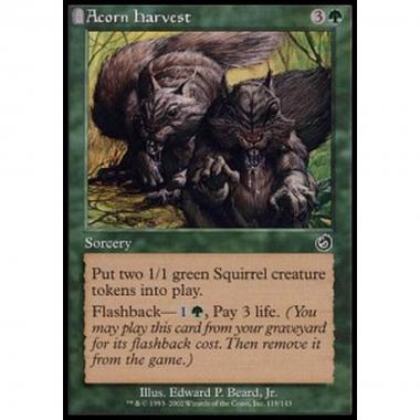 Acorn Harvest - Acorn Harvest - [TOR] [EX]