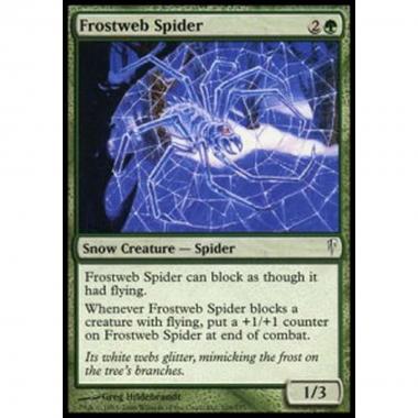 Frostweb Spider - Ragno Gelotela - [CSP] [NM]