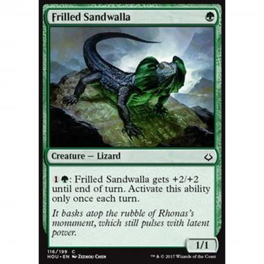 Frilled Sandwalla - Lucertola Sabbiosa dal Collarino - [HOU] [NM]