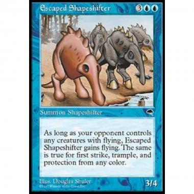 Escaped Shapeshifter - Escaped Shapeshifter - [TP] [EX]