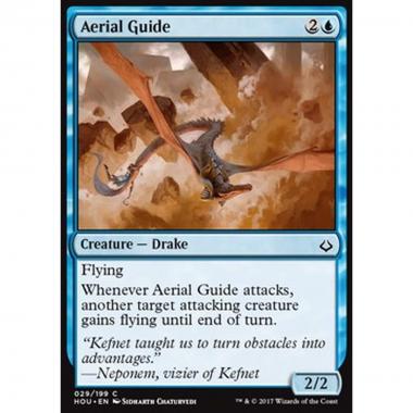 Aerial Guide - Guida Aerea - [HOU] [NM]