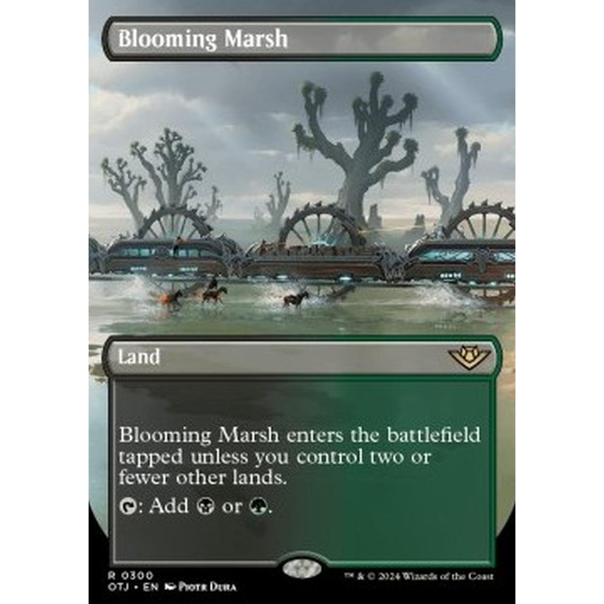 Blooming Marsh - Blooming Marsh - [XOTJ] [NM]