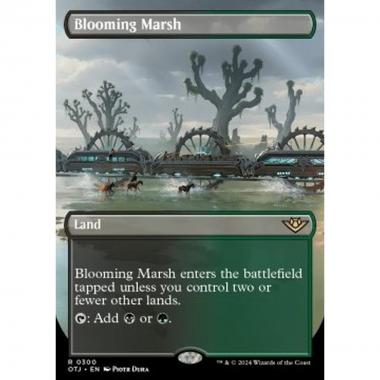 Blooming Marsh - Blooming Marsh - [XOTJ] [NM]