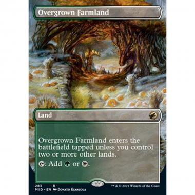 Overgrown Farmland - Overgrown Farmland - [XMID] [NM]