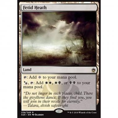Fetid Heath - Fetid Heath - [A25] [NM]