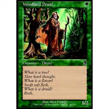 Woodland Druid - Druido Silvestre - [ODY] [NM]