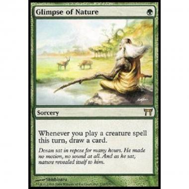 Glimpse of Nature - Glimpse of Nature - [CHK] [EX]