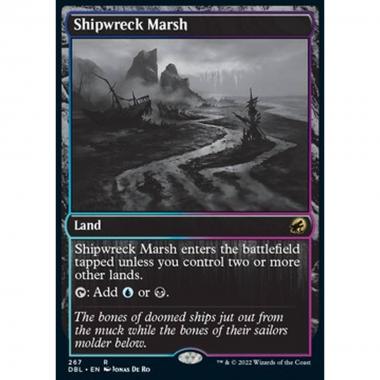 Shipwreck Marsh - Shipwreck Marsh - [DBL] [NM]