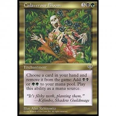 Cadaverous Bloom - Cadaverous Bloom - [MIR] [LP]