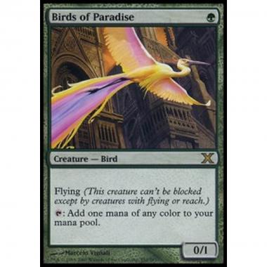 Birds of Paradise - Uccelli del Paradiso - [10E] [EX]