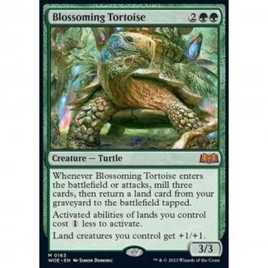 Blossoming Tortoise - Blossoming Tortoise - [WOE] [NM]