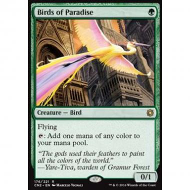 Birds of Paradise - Birds of Paradise - [CN2] [EX]