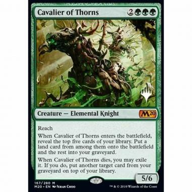 Cavalier of Thorns (V.1) - Cavalier of Thorns (V.1) - [XM20] [NM]