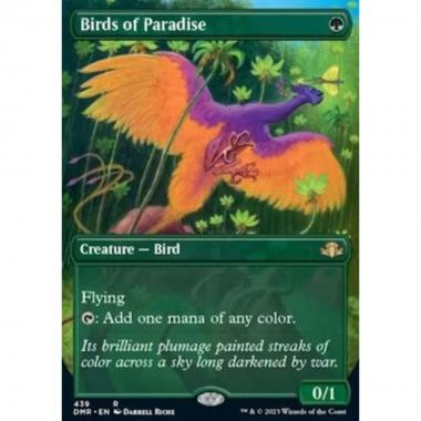 Birds of Paradise (V.2) - Birds of Paradise (V.2) - [XDMR] [NM]