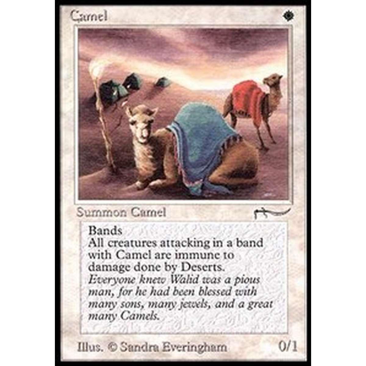 Camel - Camel - [ARN] [EX]