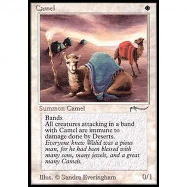 Camel - Camel - [ARN] [EX]
