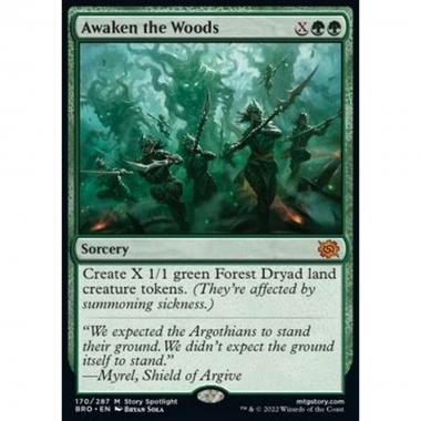 Awaken the Woods - Awaken the Woods - [BRO] [NM]