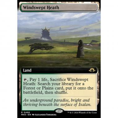 Windswept Heath (V.3) - Windswept Heath (V.3) - [XMH3] [NM] [Foil]