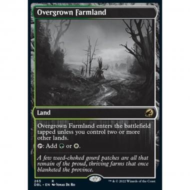 Overgrown Farmland - Overgrown Farmland - [DBL] [NM] [Foil]